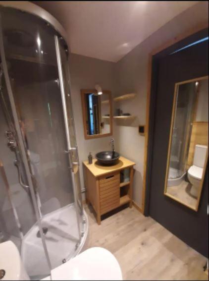 Appartement O Cosy D'Olle à Allemont Extérieur photo